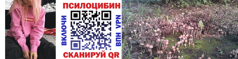 как найти закладки  Фурманов  Галлюциногенные грибы мицелий 